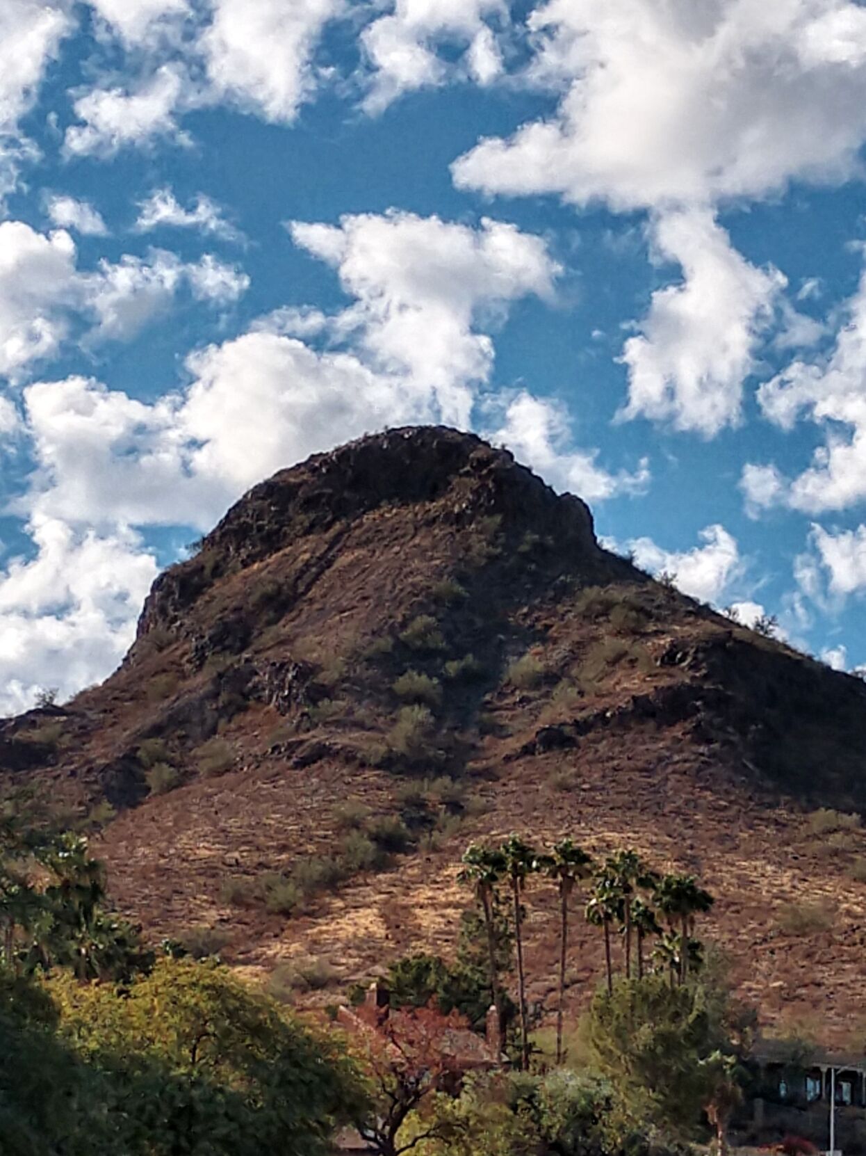 Lookout Mountain.jpg